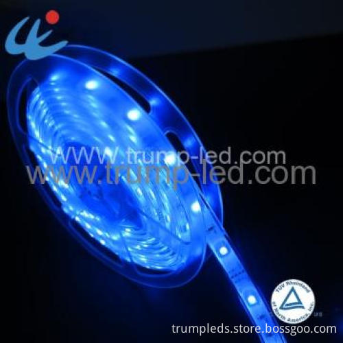36w 72w 5M SMD 5050 LED Waterproof Strip Light